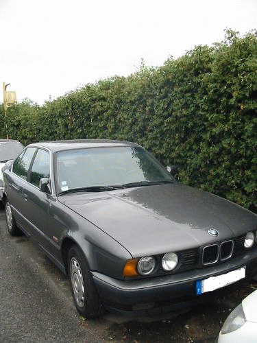 BMW 524td: 12 фото