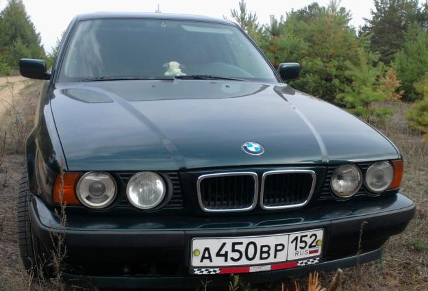 BMW 525: 12 фото