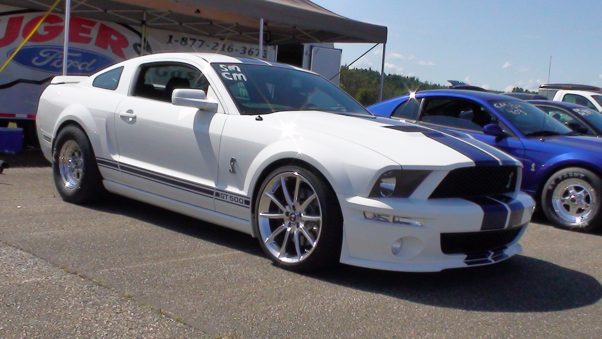 ford shelby gt 500 
