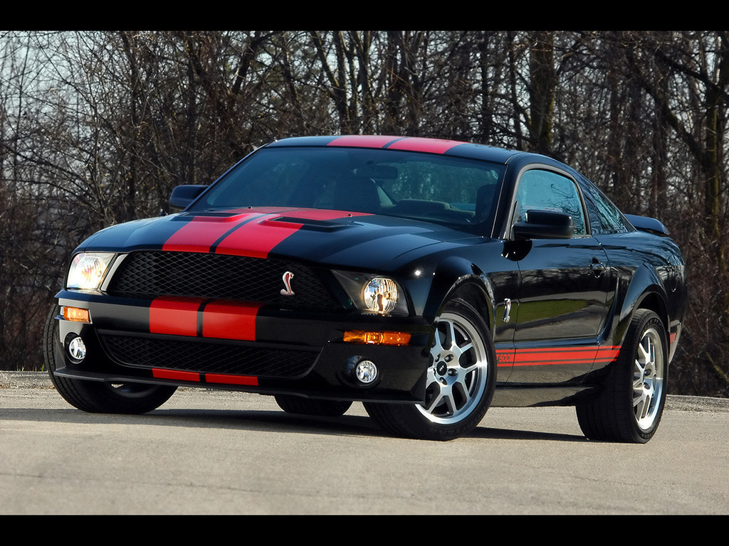 Ford Shelby: 4 фото