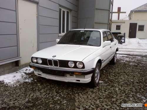 BMW 316: 6 фото