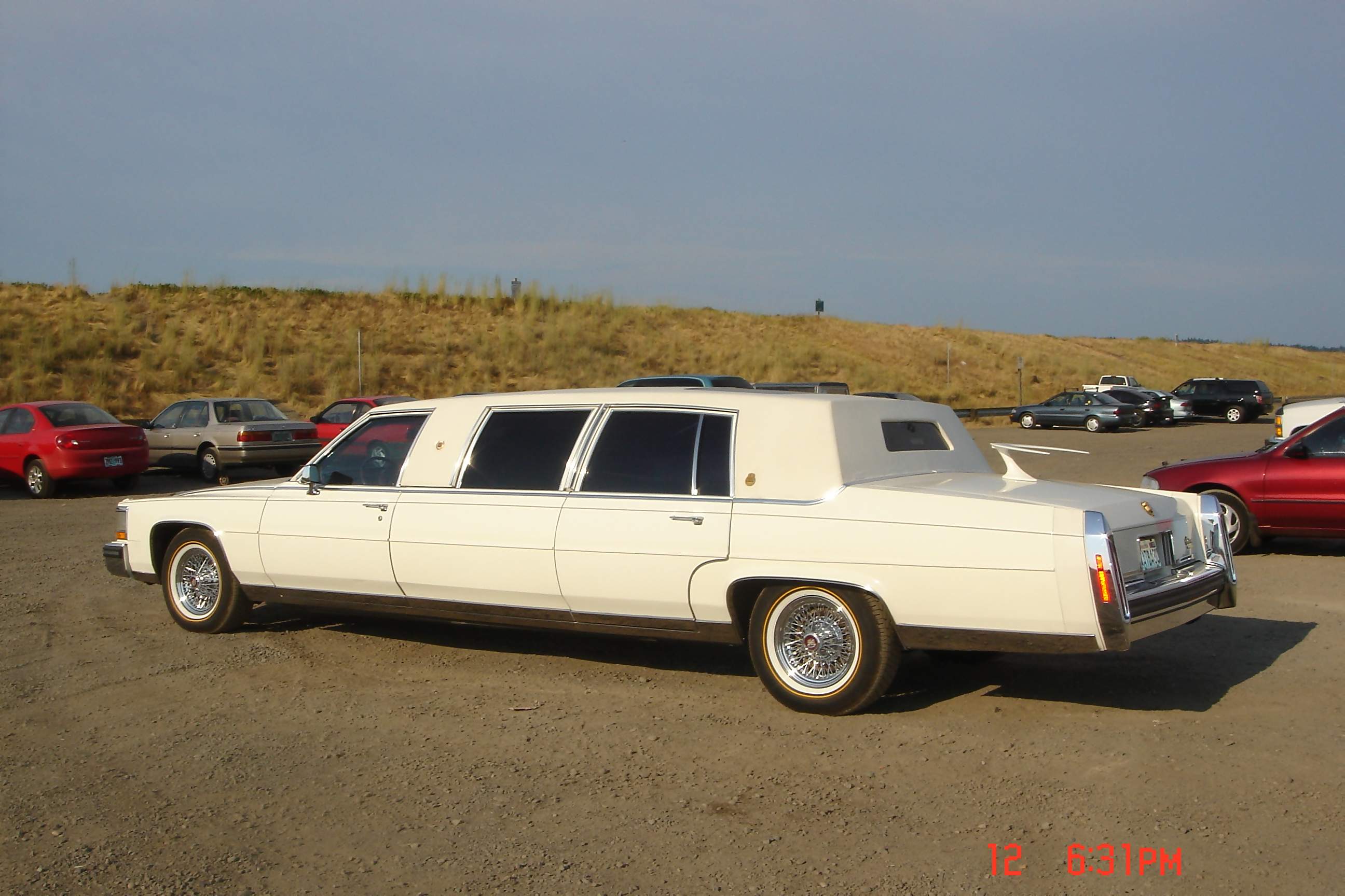 Cadillac Fleetwood Limousine: 1 фото