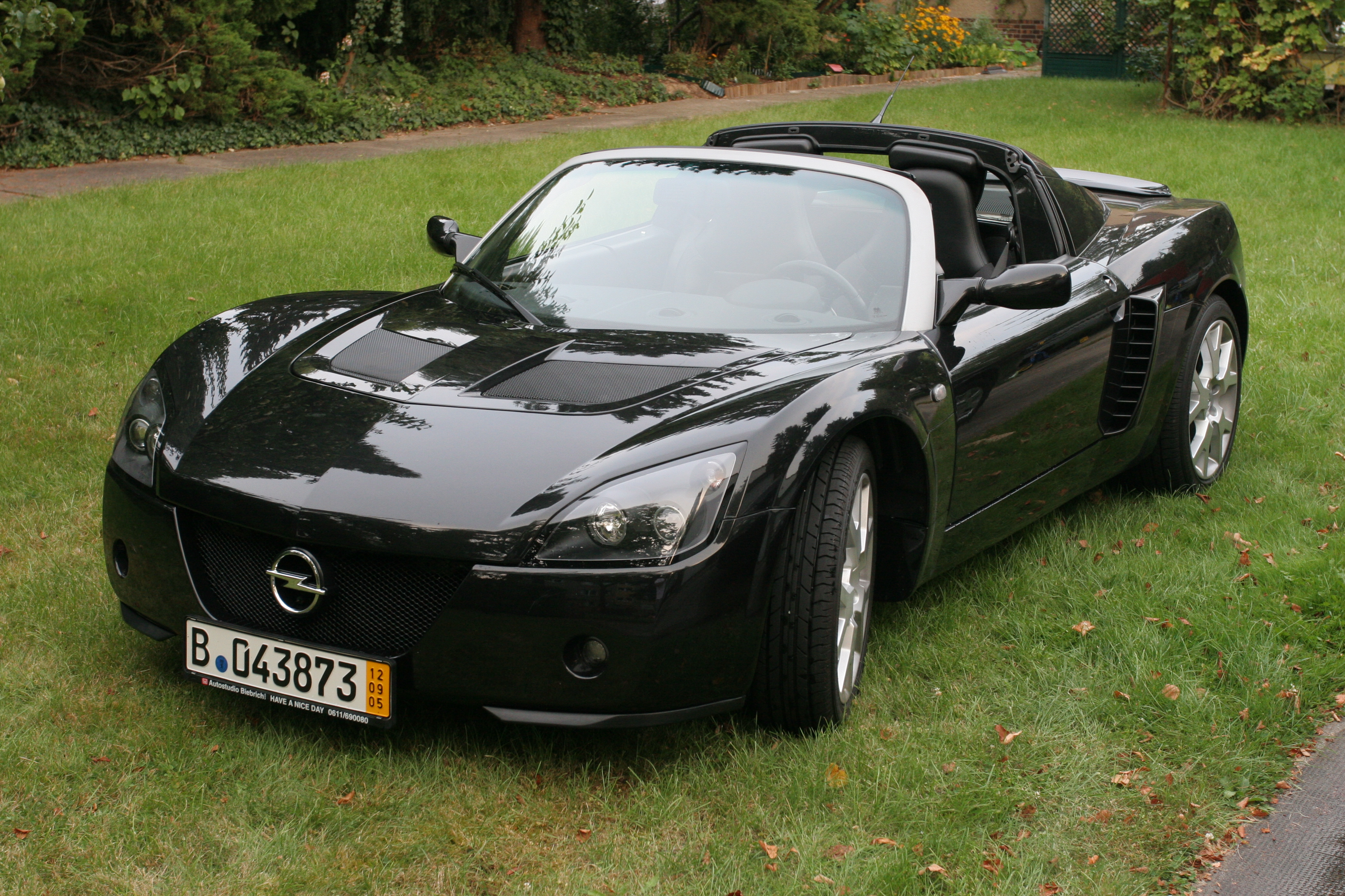 Opel Speedster: 8 фото