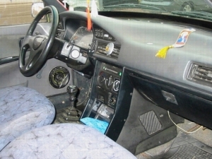 Dacia Nova: 12 фото