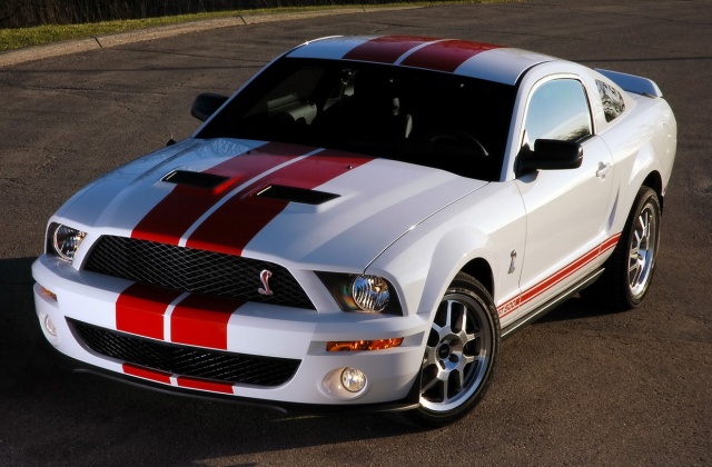 Ford Shelby: 02 фото