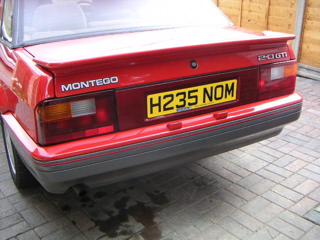 MG Montego: 7 фото
