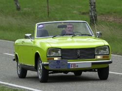Peugeot 304: 01 фото