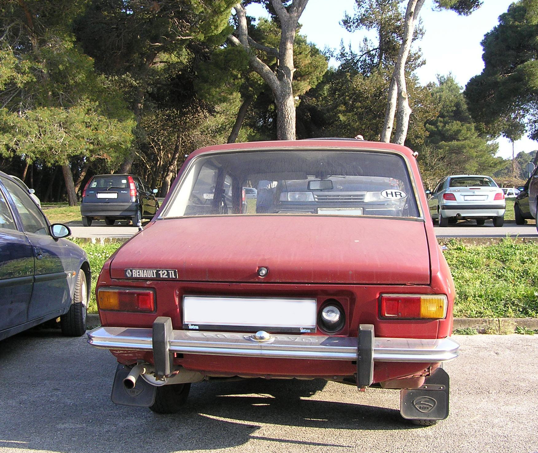 Renault 12: 8 фото