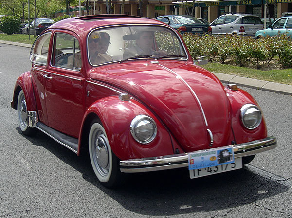 Volkswagen Beetle: 06 фото