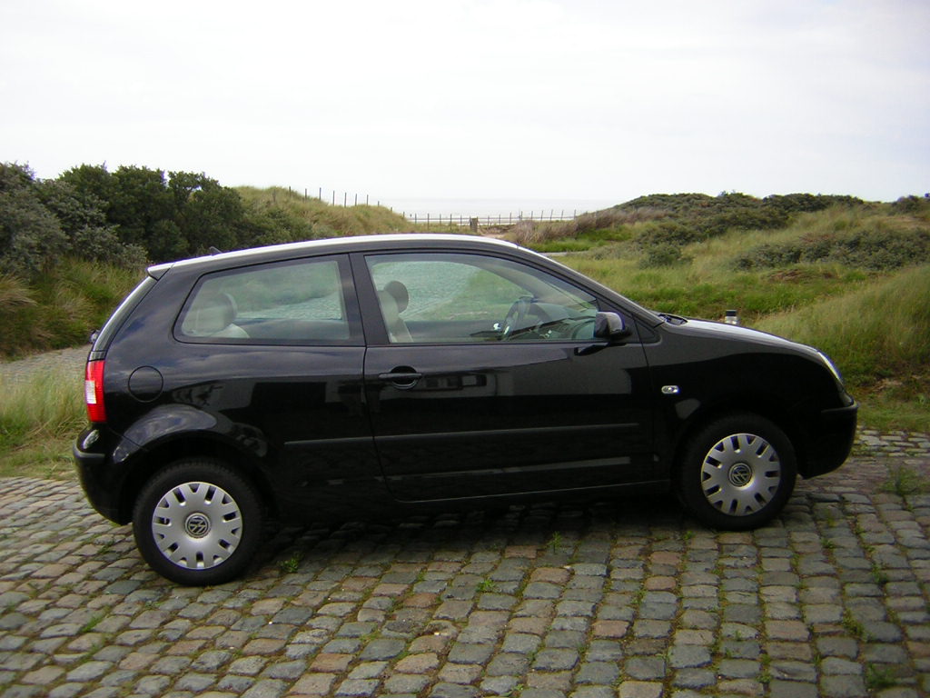 Volkswagen Polo IV: 05 фото